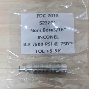 Extruder Bursting Disc in a Package